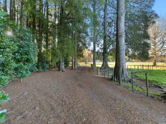2039 Te Pahu Road, Whatawhata