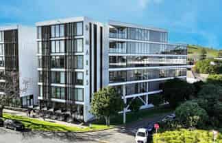 Light-Filled Remuera Office with Balcony