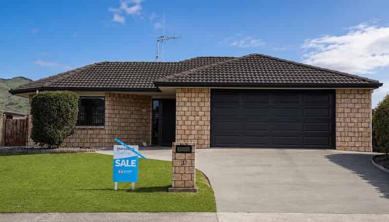 17 Buchanan Street, Paeroa