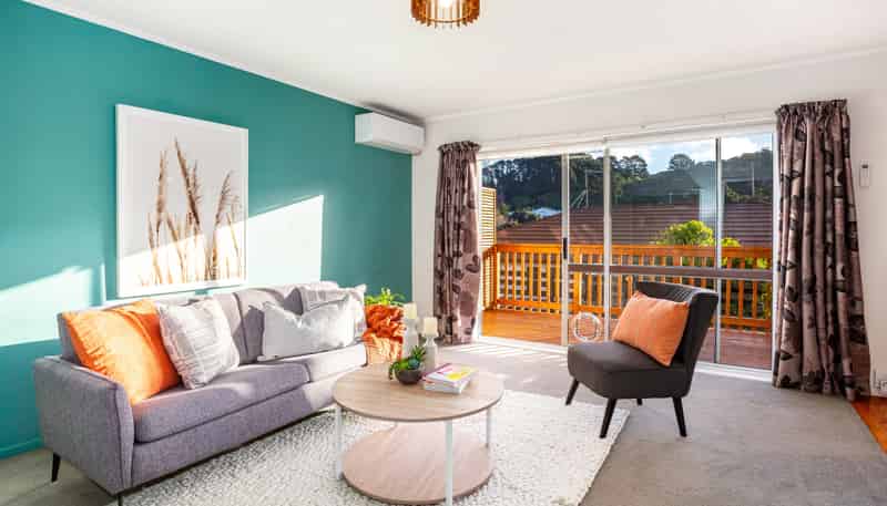 1/48 Hamilton Road, Hataitai