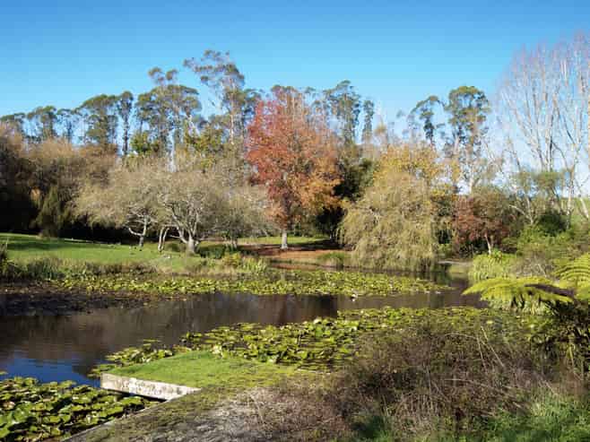 Lot 1 46 Keaney Road, Ararimu