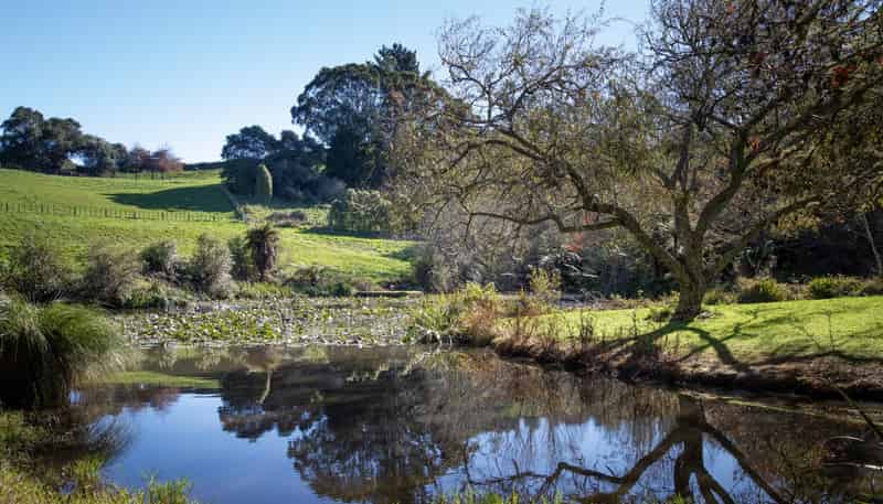Lot 1 46 Keaney Road, Ararimu