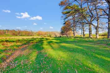 49 Spiritburn rd, Dipton