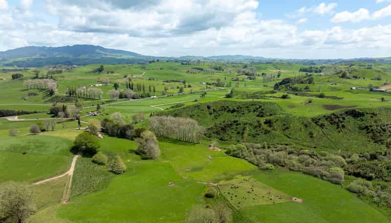 519 State Highway 1, Piarere