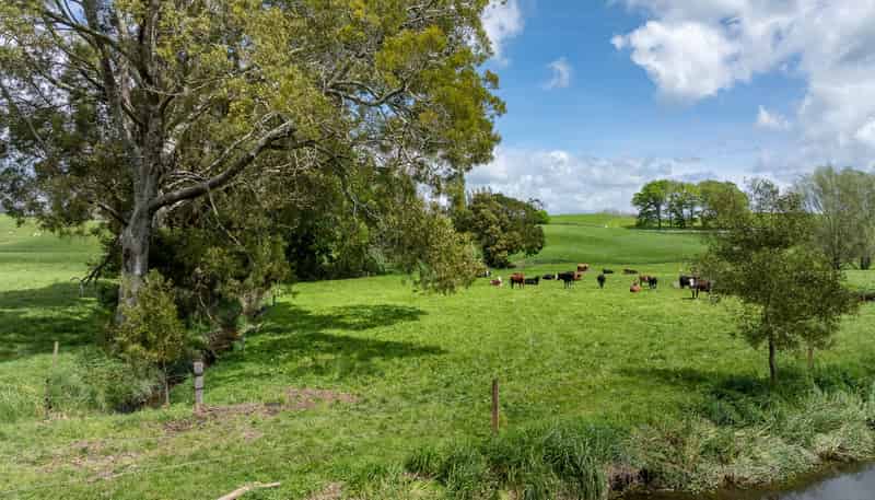519 State Highway 1, Piarere