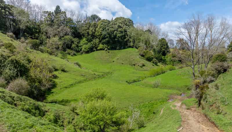 519 State Highway 1, Piarere