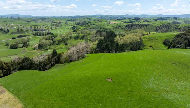 519 State Highway 1, Piarere