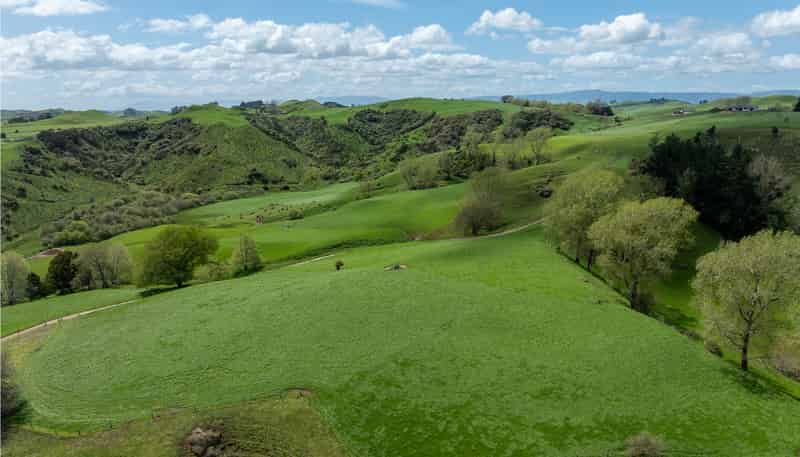 519 State Highway 1, Piarere