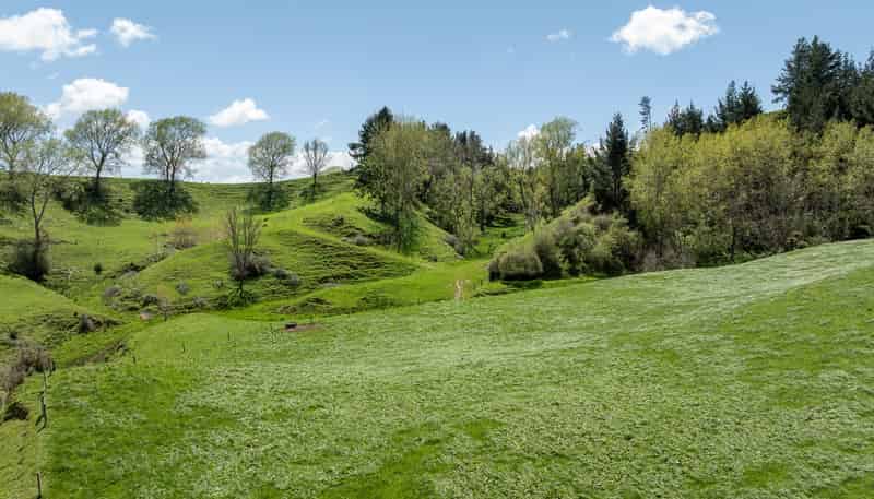 519 State Highway 1, Piarere