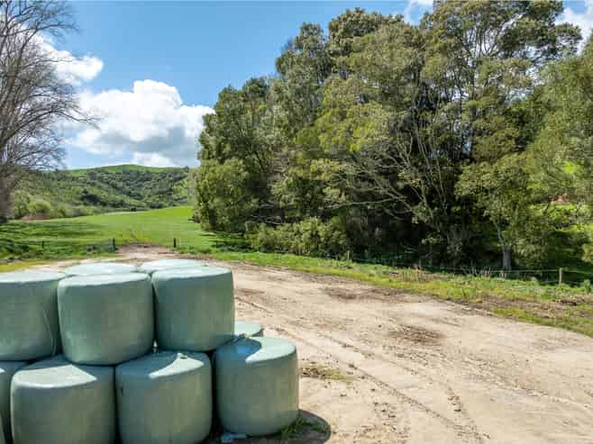 519 State Highway 1, Piarere