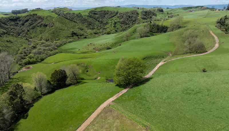 519 State Highway 1, Piarere