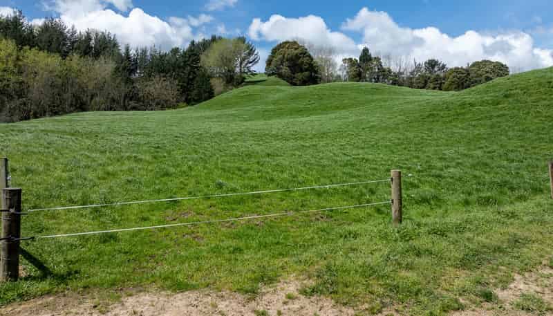 519 State Highway 1, Piarere