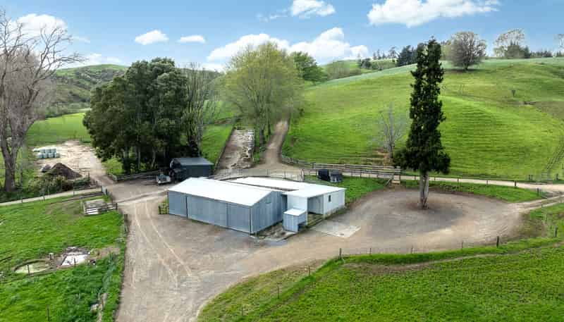 519 State Highway 1, Piarere