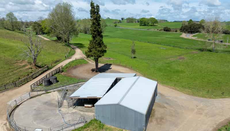 519 State Highway 1, Piarere