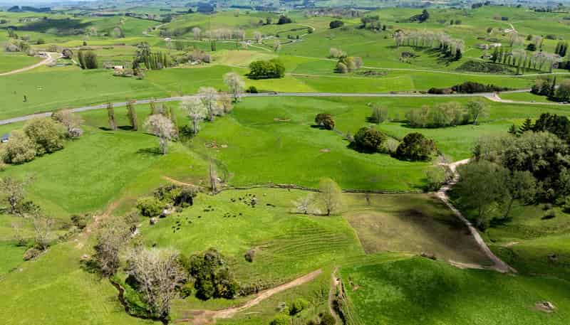 519 State Highway 1, Piarere