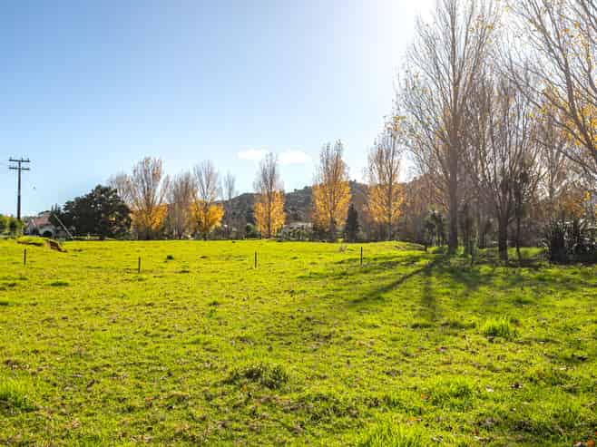 315 & 315A Woollams Avenue, Coromandel