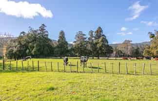 315 & 315A Woollams Avenue, Coromandel