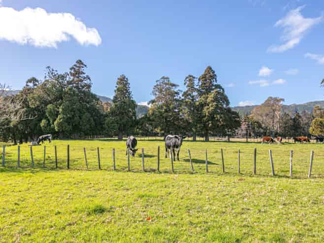 315 & 315A Woollams Avenue, Coromandel