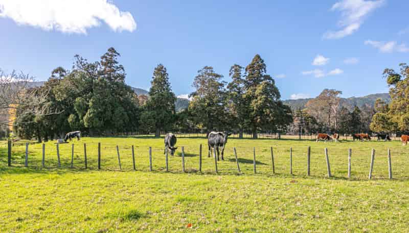 315 & 315A Woollams Avenue, Coromandel