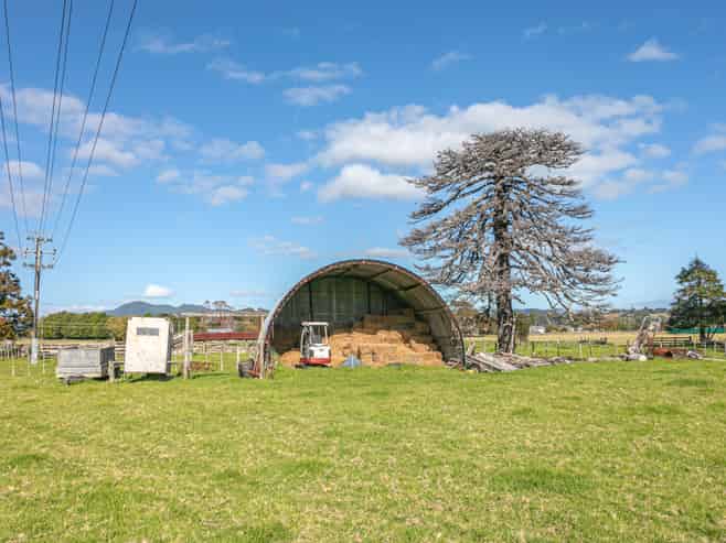 315 & 315A Woollams Avenue, Coromandel