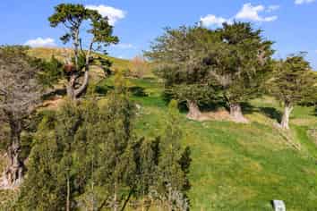 4, 127 Ongaonga Road, Waipawa