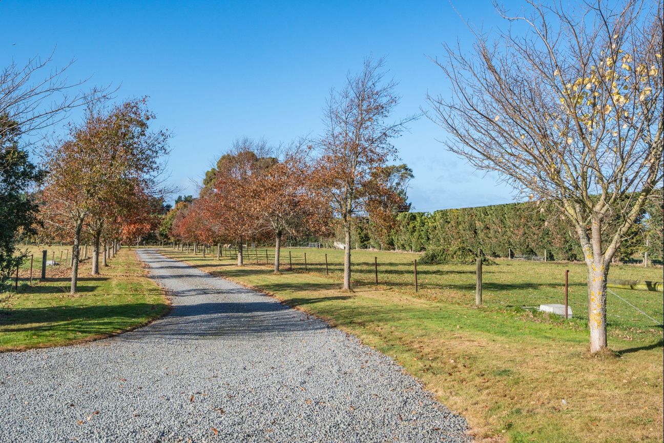 Secluded Leithfield Retreat With Modern Living - View 2