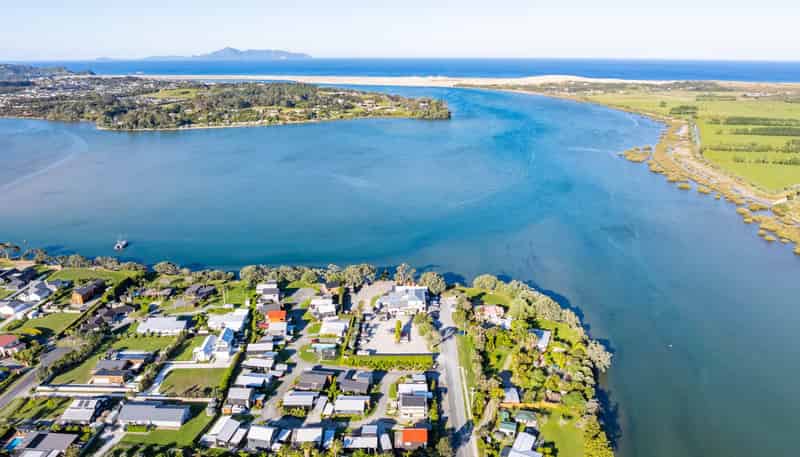 19 Citrus Place, Mangawhai