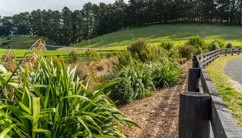 Lot 1, 10 Kapuka Lane, Kennedys Bush