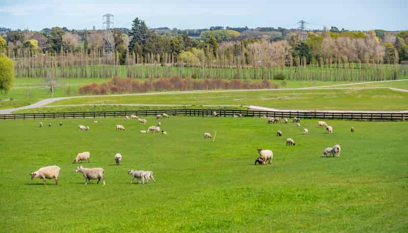 Lot 1, 10 Kapuka Lane, Kennedys Bush