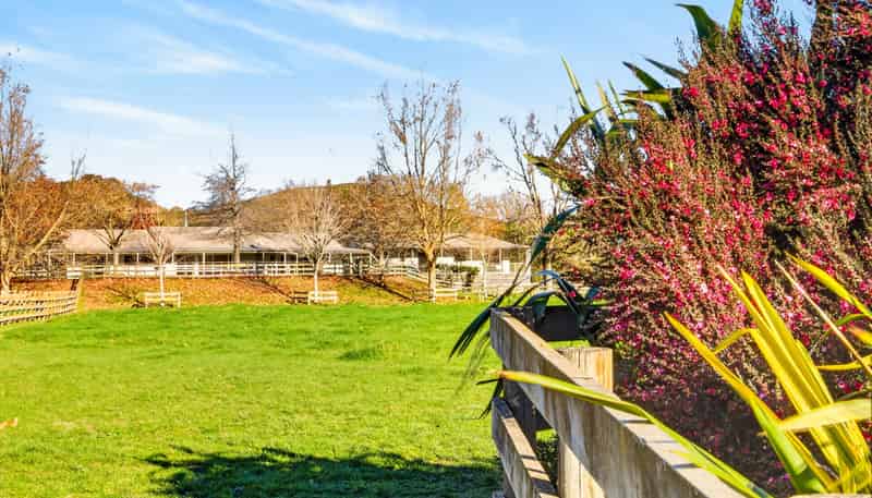 529 Puketitiri Road, Puketapu
