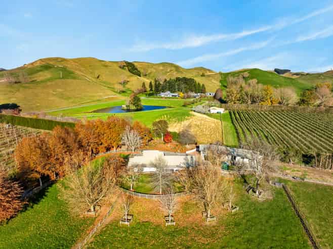 529 Puketitiri Road, Puketapu