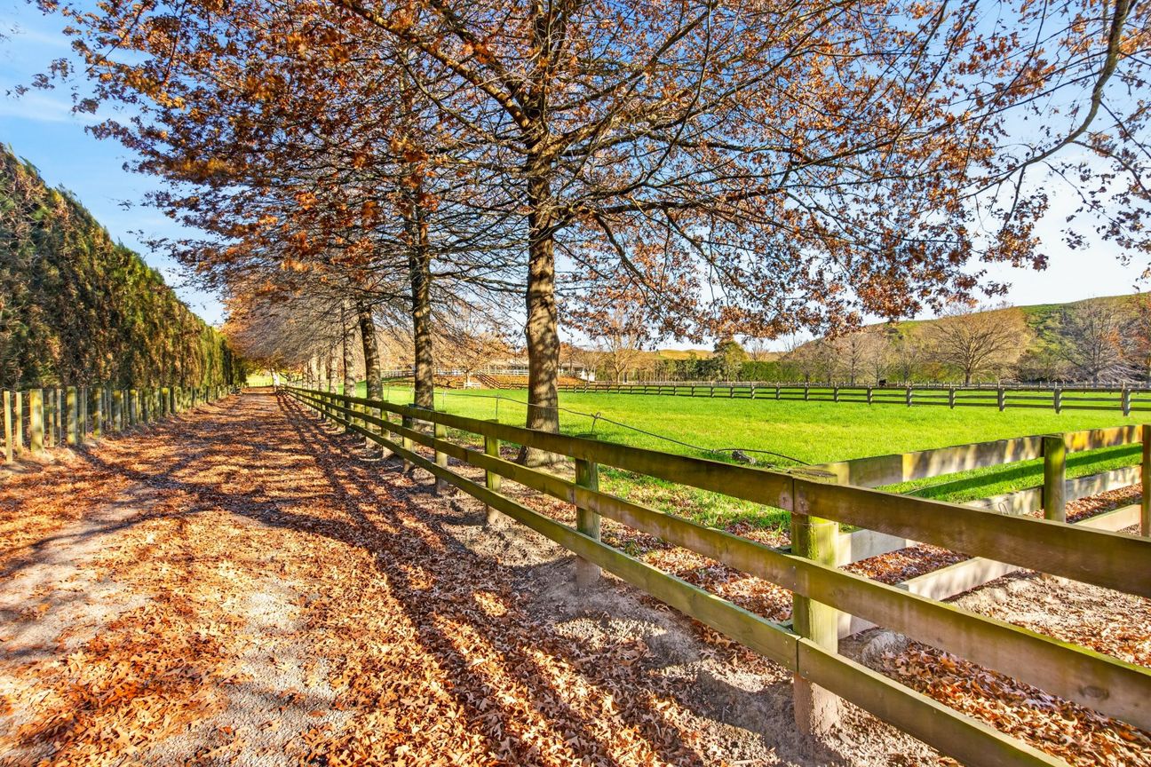 Luxury Country Living with Town Convenience - Widok 6