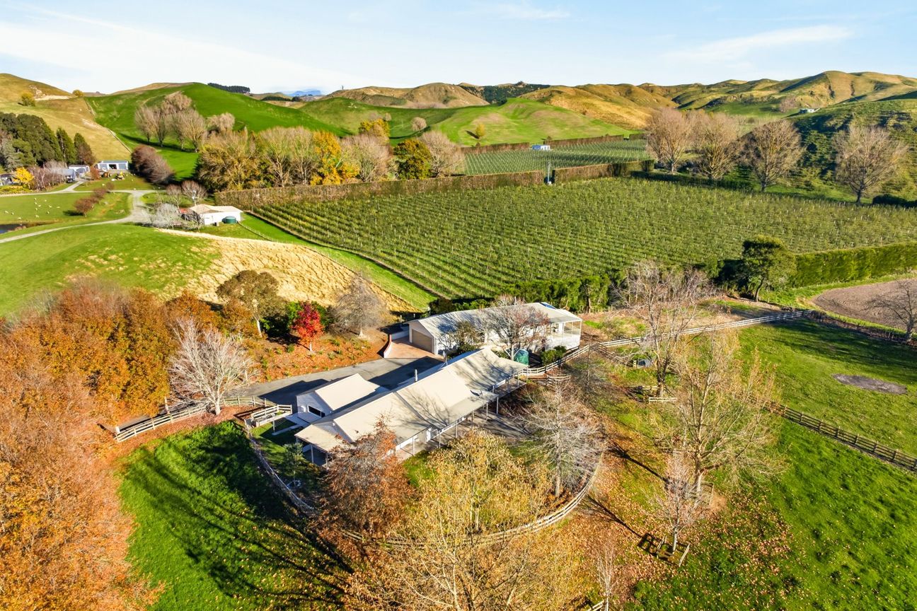 Luxury Country Living with Town Convenience - Widok 3