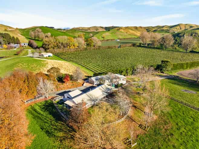 529 Puketitiri Road, Puketapu