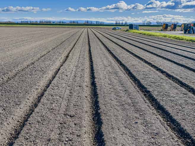 34 and 148 Farndon Road and 272 State Highway 51, Clive
