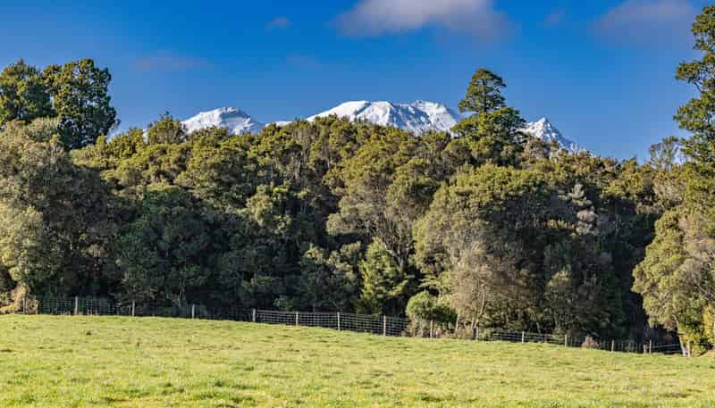 Lot 3 Matapuna Road, Horopito