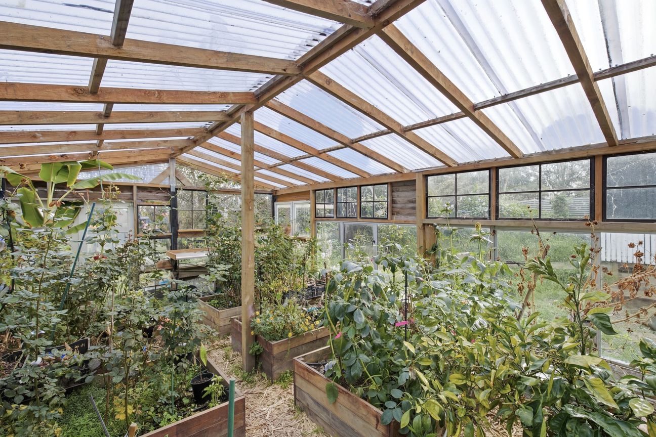 Room to grow - Widok 3