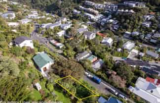 19 Mornington Road, Brooklyn