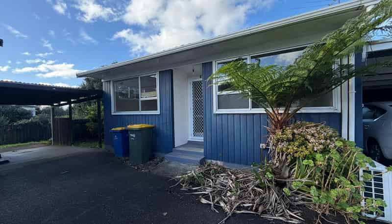 3/3141 Great North Road, New Lynn