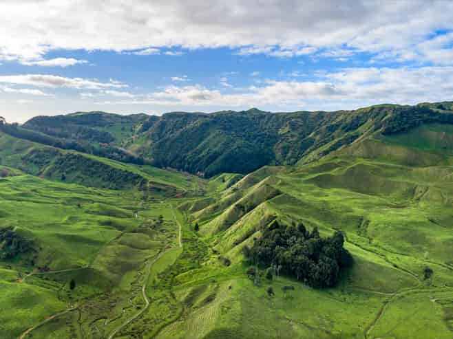 279 Taumatatotara Road, Te Kuiti
