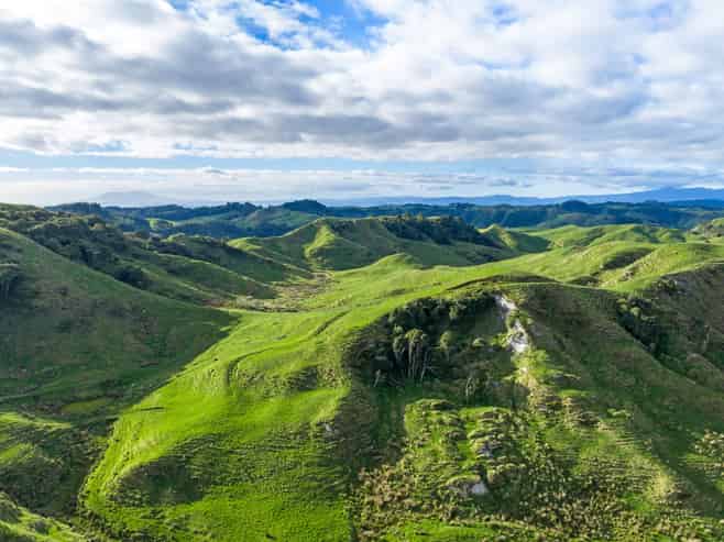 279 Taumatatotara Road, Te Kuiti