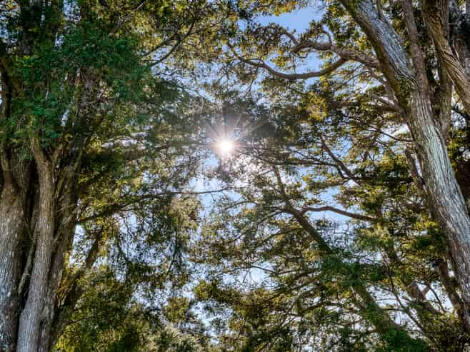81 Kaiatea Road, Ngunguru