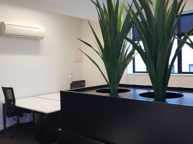 Light and Spacious Office