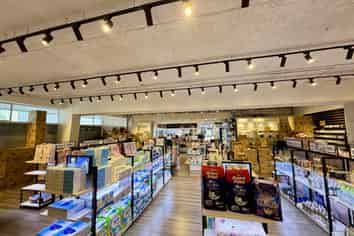 Prime Dominion Road Corner + Hospo Option | 336 m2