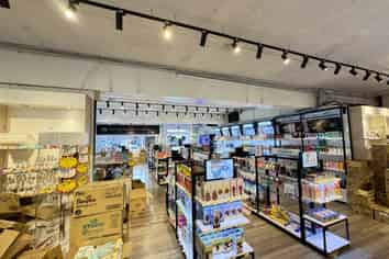 Prime Dominion Road Corner + Hospo Option | 336 m2