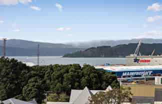 1C/19 Cottleville Terrace, Thorndon
