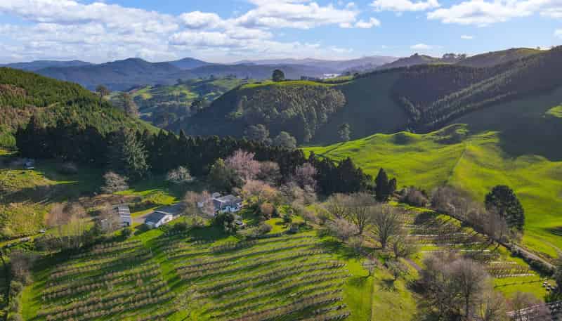 1427 Te Kopia Road, Waikite Valley