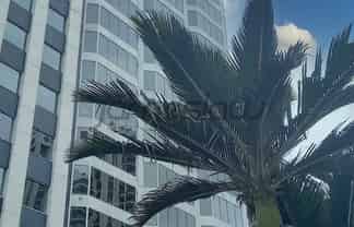 Perpetual Guardian Tower 678sqm Office