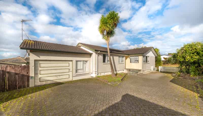 17 Bodi Place, Te Atatu South