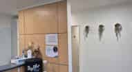 Open gallery